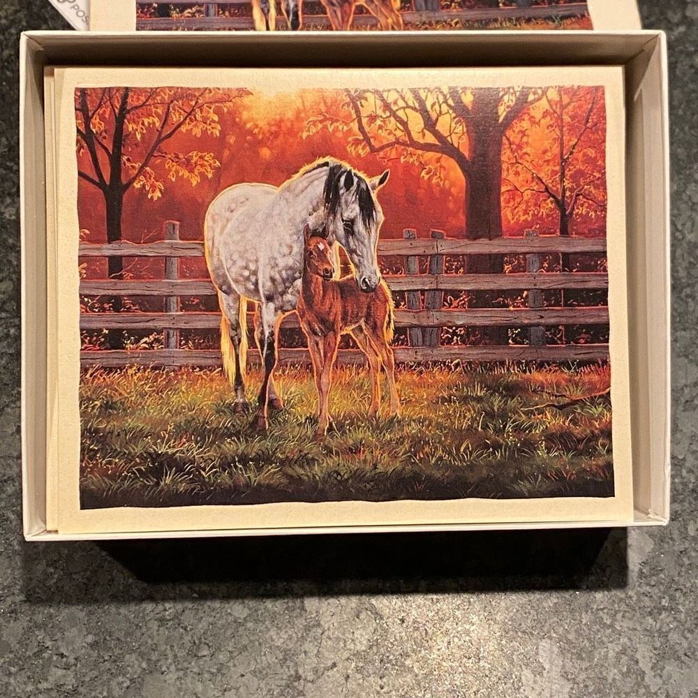 New Bookmark Notecards Quiet Time Horses Cummings